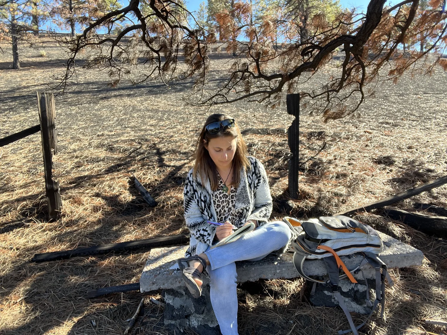 Writing outdoors- as good as it gets?
